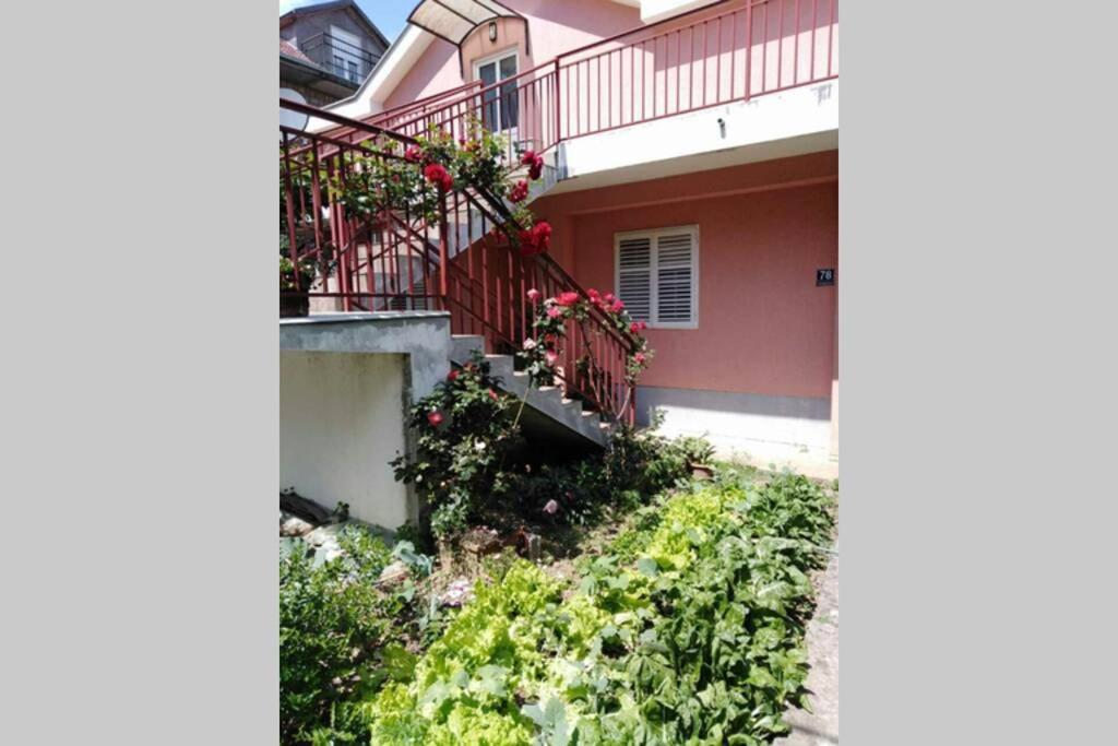 Apartman Danica แฮร์เซ็ก-โนวี ภายนอก รูปภาพ